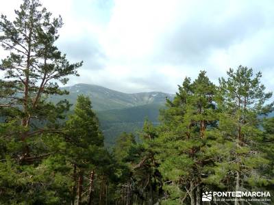 Peña Cítores, Cumbre Peñalara; verano viajes senderismo; senderismo principiantes madrid